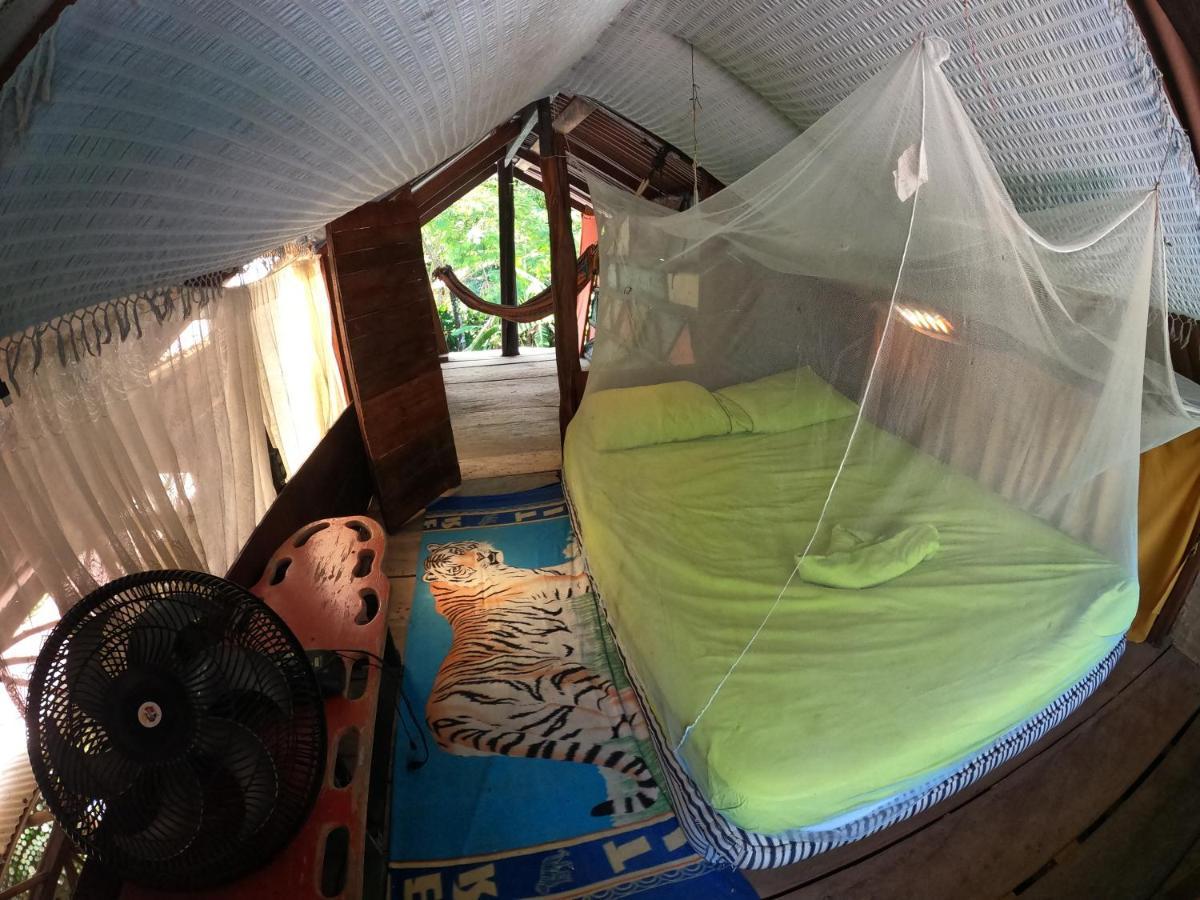 Reciclarte Galeria Hostal Capurganá Eksteriør billede